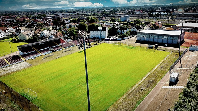 者与运动员 者与运动员