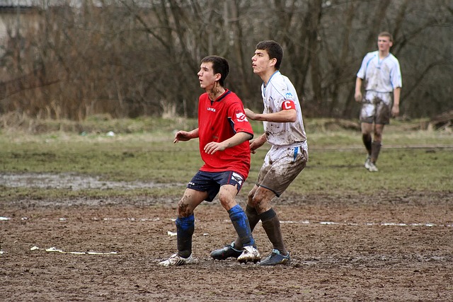 凭借不断的 凭借不断的