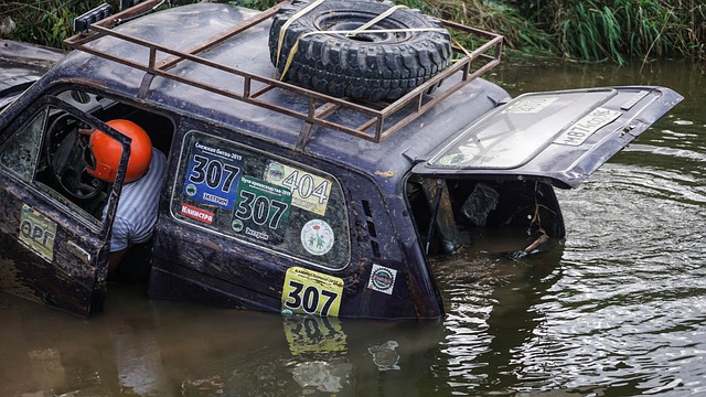 与智慧的比 与智慧的比