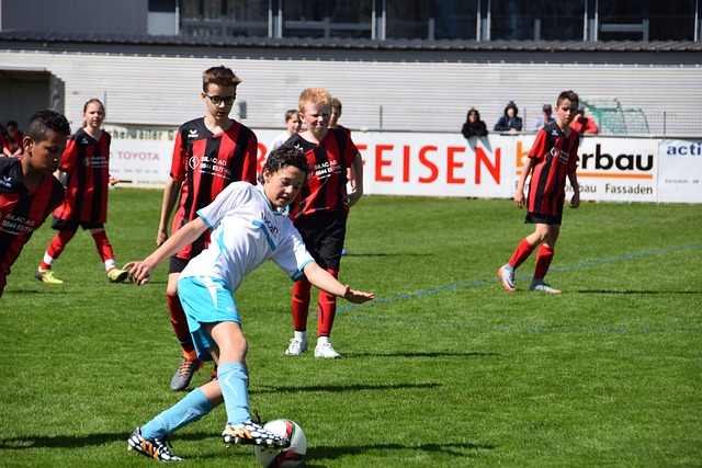 政府提供的 政府提供的