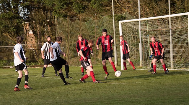 将是关键所 将是关键所