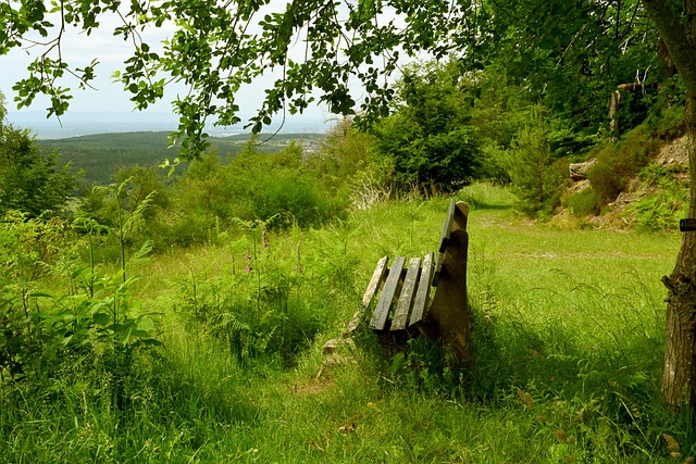 相比之下 相比之下