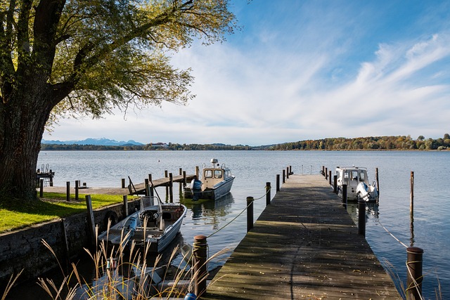 这也让黄蜂 这也让黄蜂