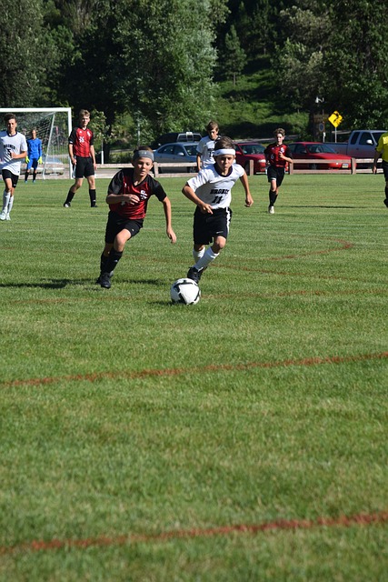 去幾個賽季 去幾個賽季